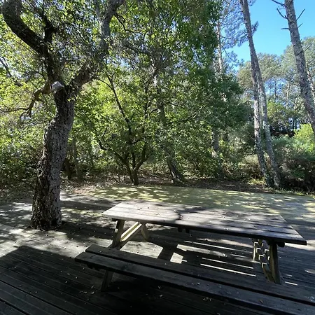 8 Pers Proche Marin, Wifi, Animaux Permis, Parking - Fr-1-379-83